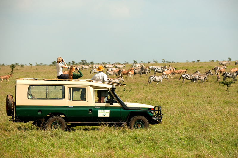 Tanzanias Serengeti & Zanzibar USD4575